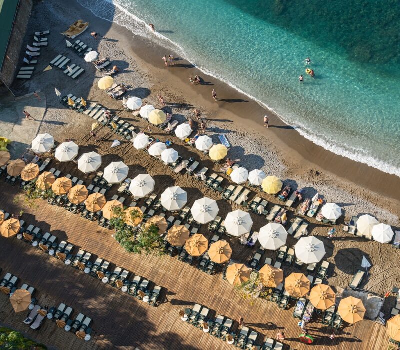 turkey-5281514_1280